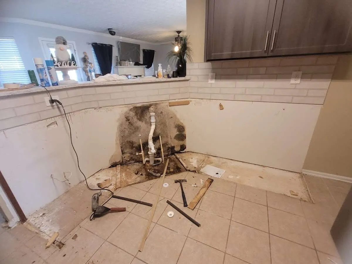 Mold behind wall with plumbing during Flood Damage Cleanup in Markham